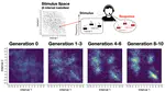 New study shows how cultural transmission shapes music evolution