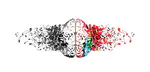 Oxford News: Music and the mind, a profile of Dr Manuel Anglada Tort