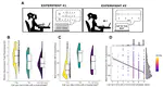 Genome-wide association study of musical beat synchronization demonstrates high polygenicity